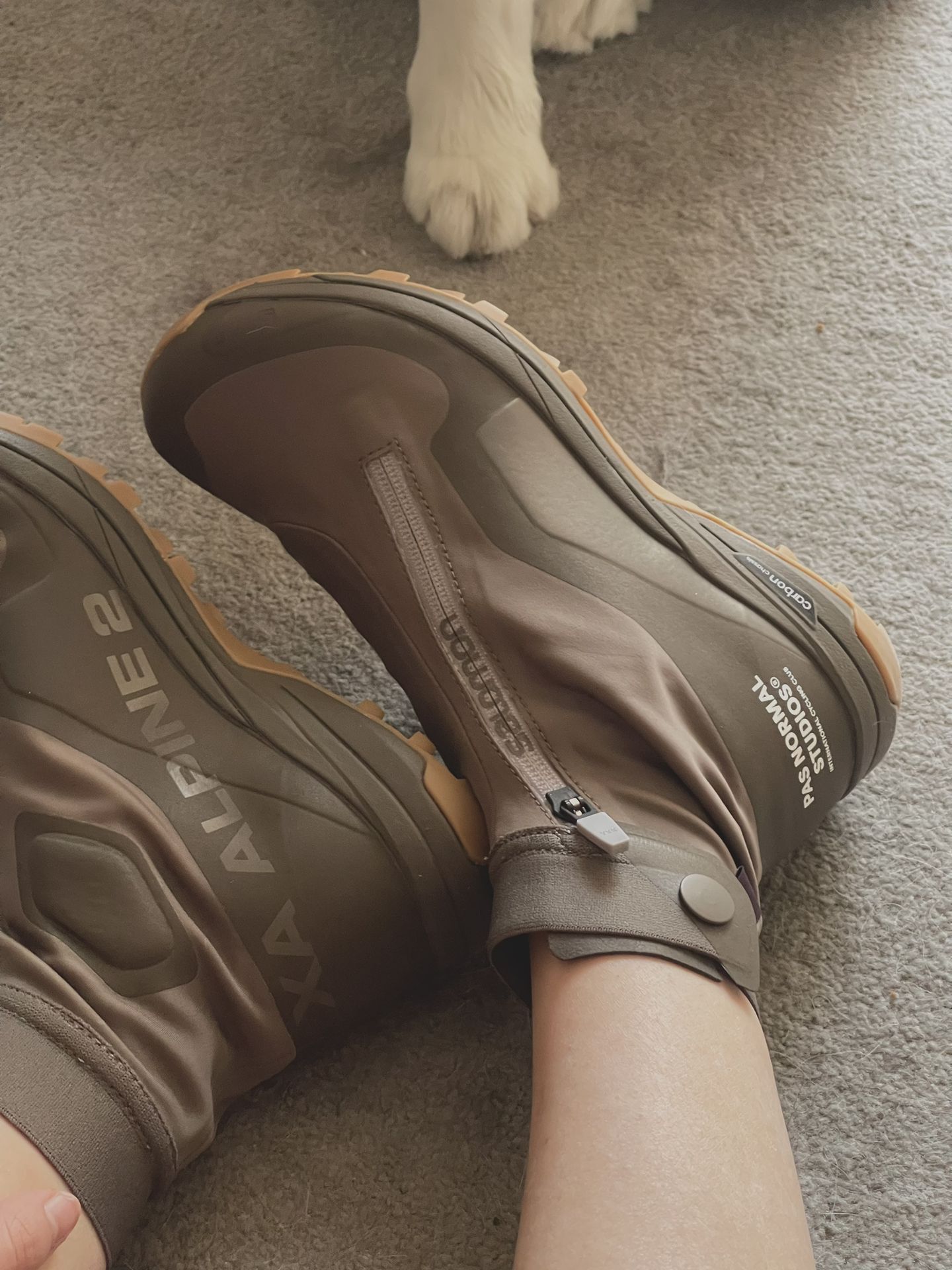 圆头 低帮 一脚蹬 浅口鞋 拉链  - VALI鞋履AI设计主图