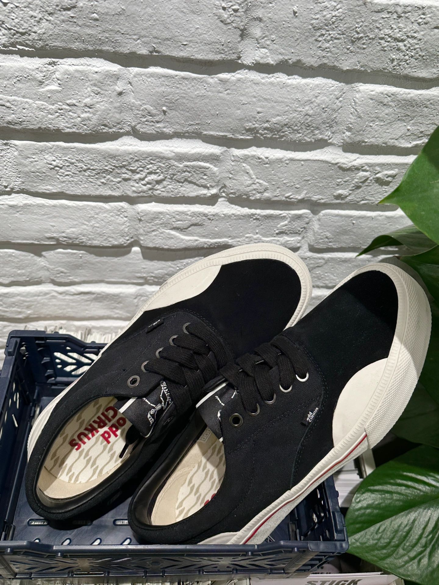 低帮 系带  - VALI鞋履AI设计主图