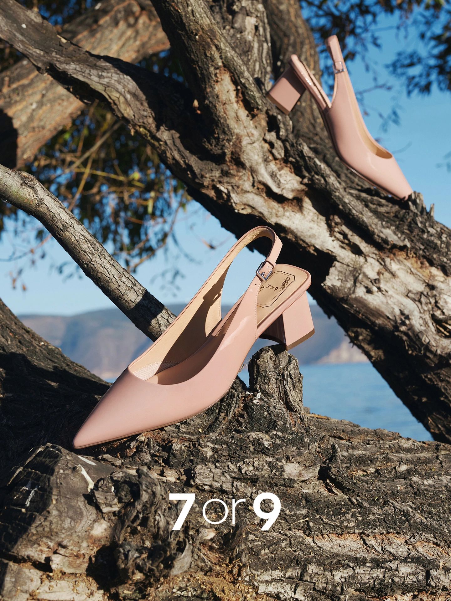 无帮 袢扣 皮革  - VALI鞋履AI设计主图