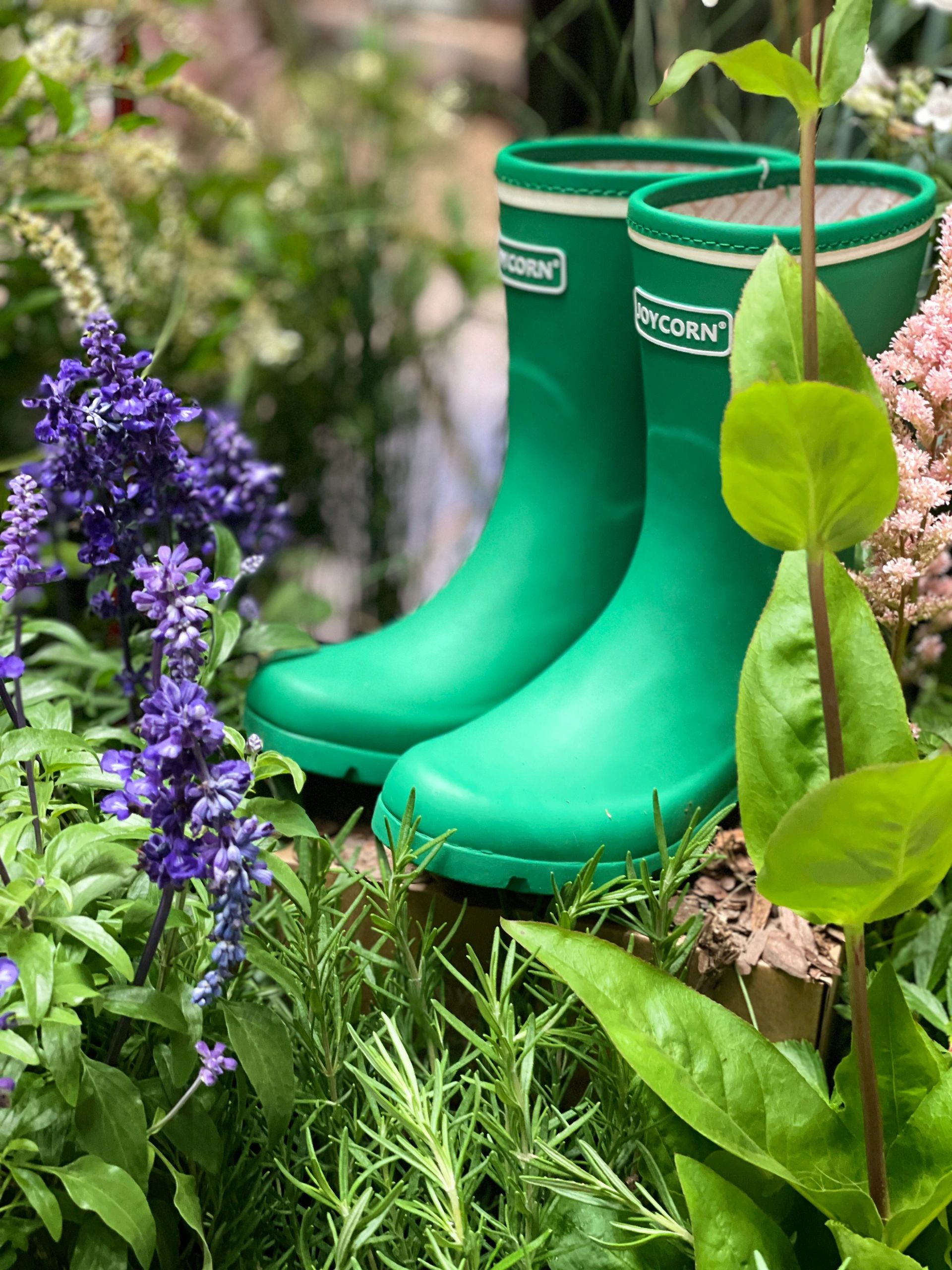  - VALI鞋履AI设计主图