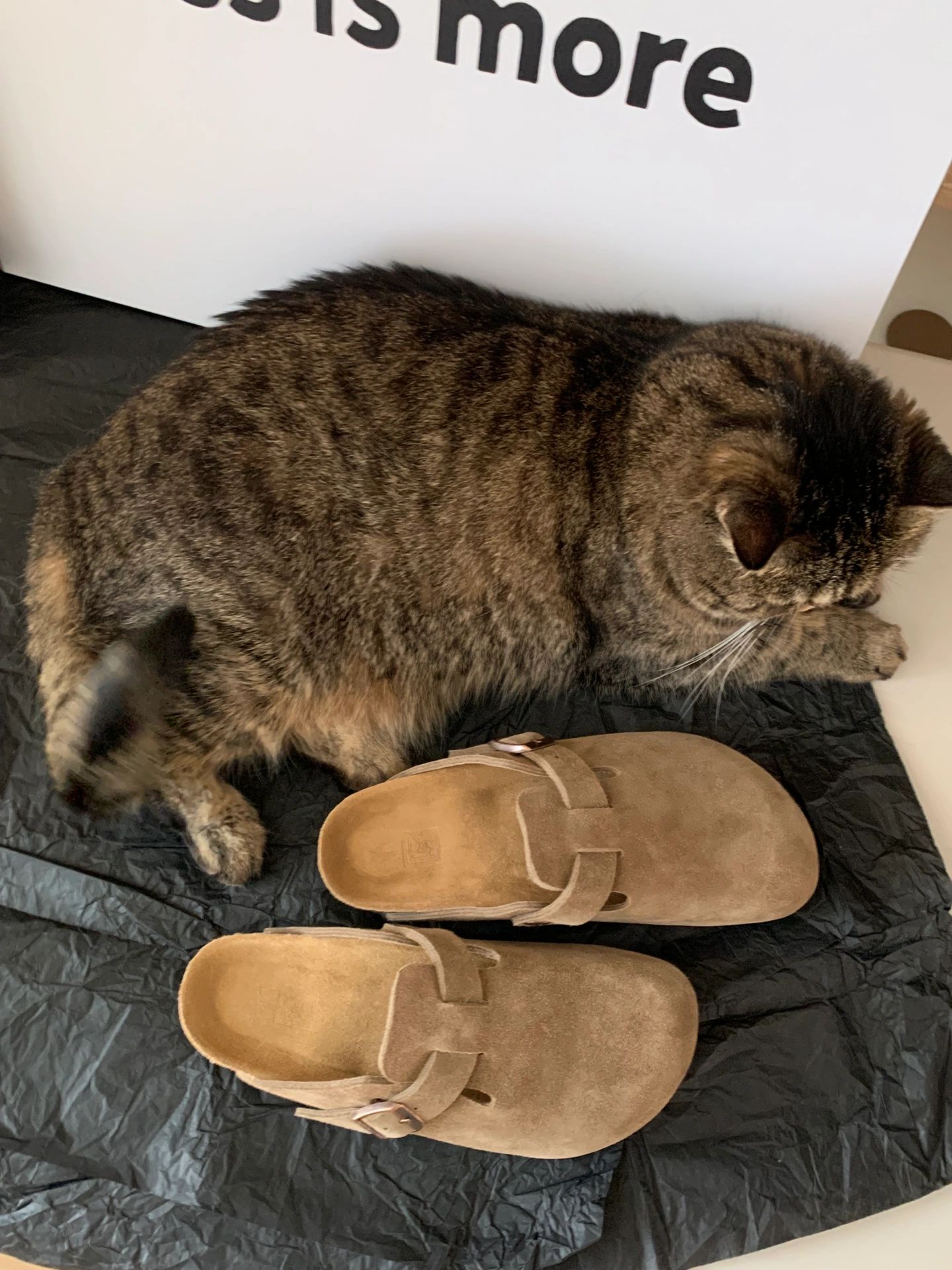 无帮 袢扣 皮革 魔术贴  - VALI鞋履AI设计主图