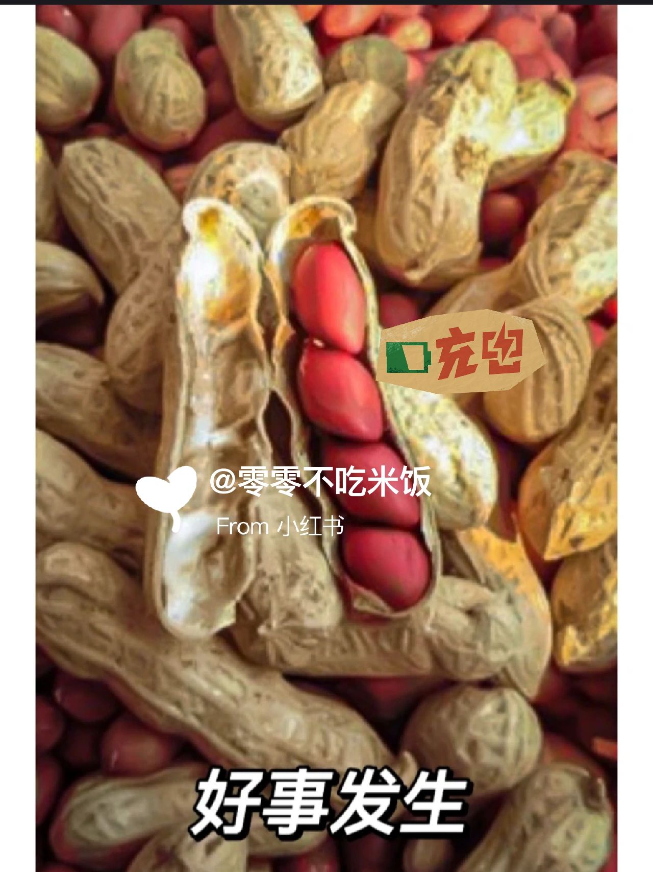 低帮 浅口鞋 皮革  - VALI鞋履AI设计主图