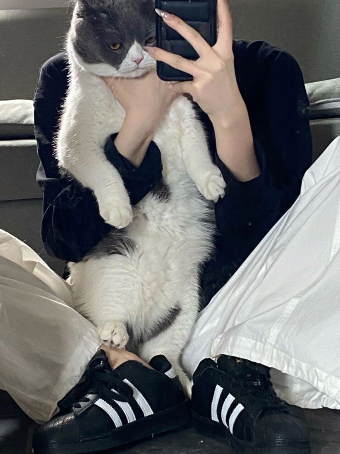 皮草面料 H型 夜蓝色 毛条 