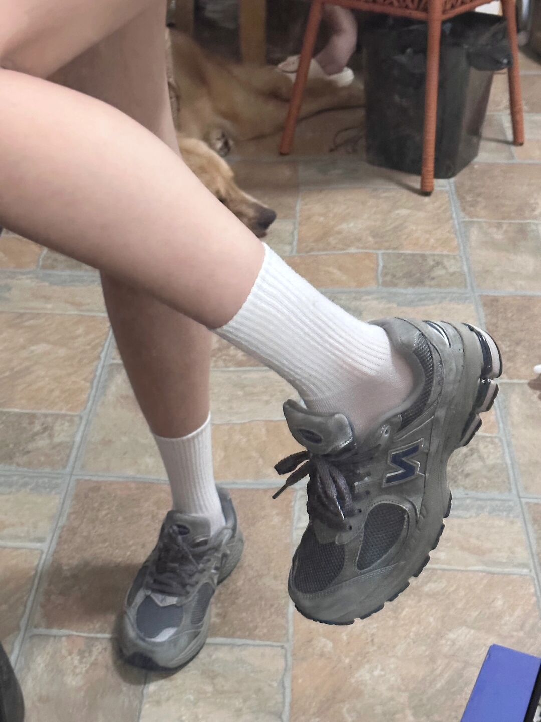 低帮 系带  - VALI鞋履AI设计主图