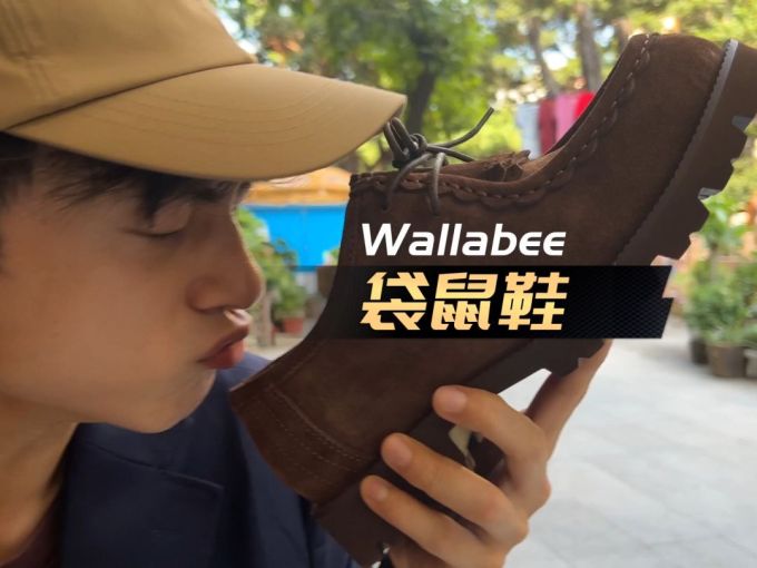 系带 皮革 