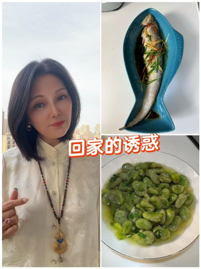 H型 立领 石灰华色 腐殖土色 基础扣饰 