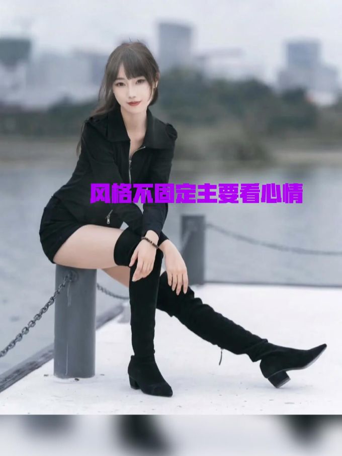 H型 翻领 基础袖 轿车黑 基础拉链 