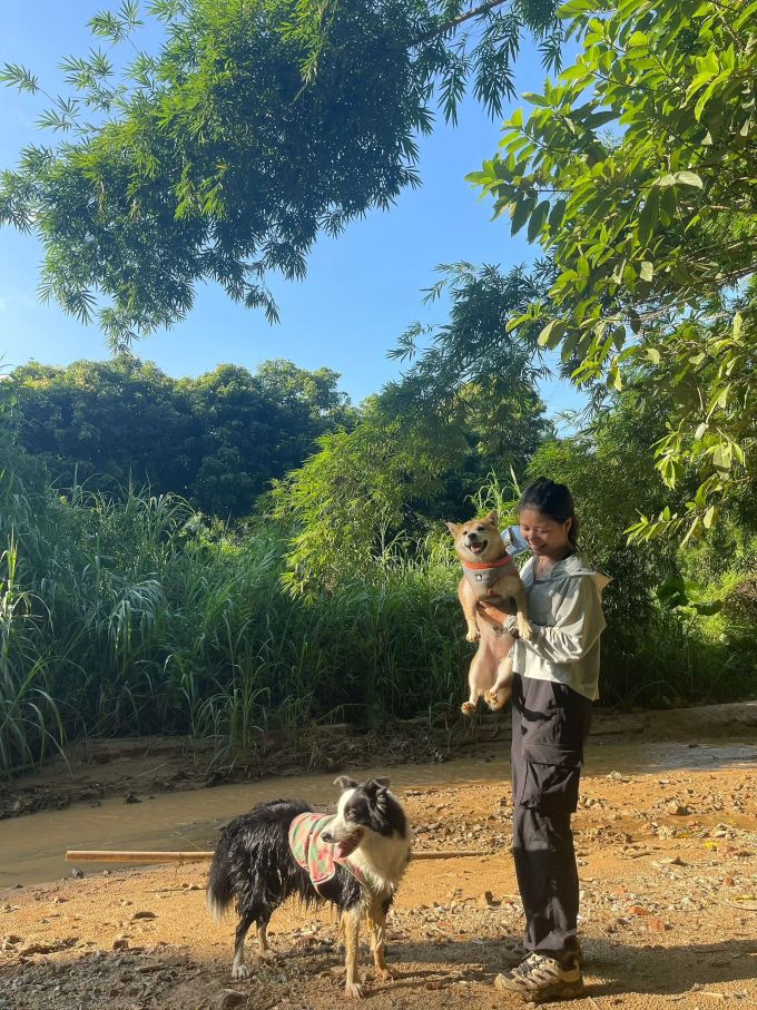 棉麻 巧克力棕色 暗土褐色 