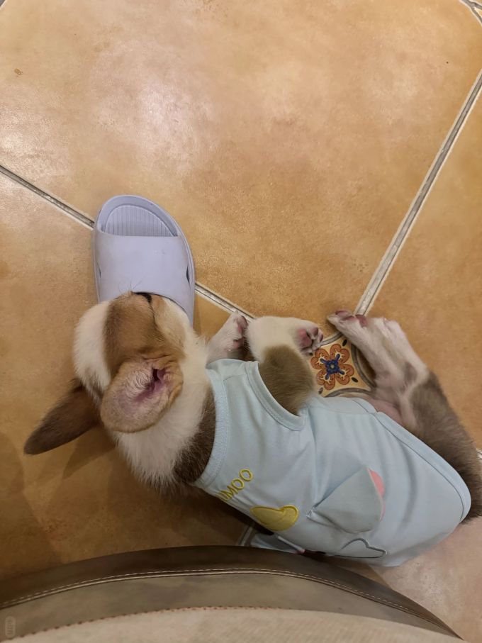 纪念碑灰 高楼色 灰蓝