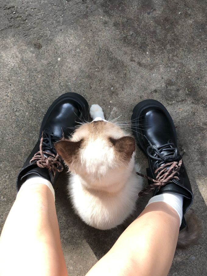 圆头 系带 皮革 
