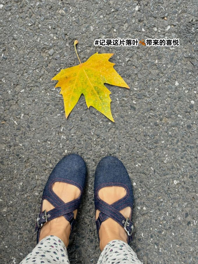 圆头 松紧带 浅口鞋 布面