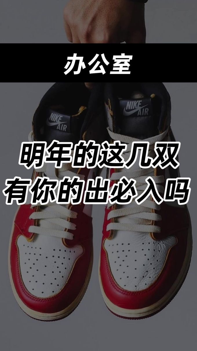 系带 皮革 