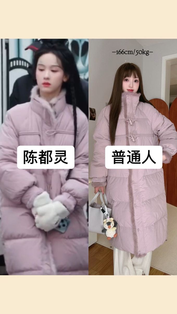 防护功能 H型 立领 中长袖 棉羽绒袖 绗缝 礼品紫 接骨木灰紫