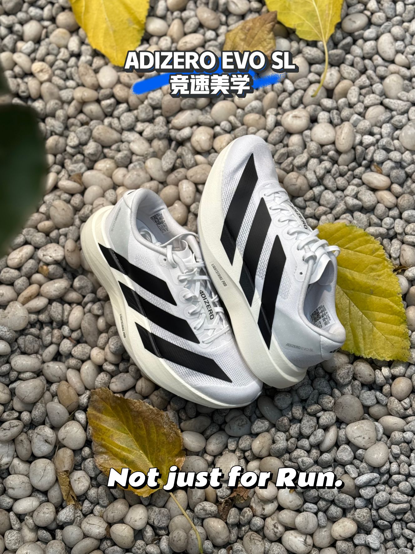 低帮 系带 布面  - VALI鞋履AI设计主图