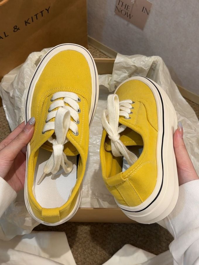系带 皮革 