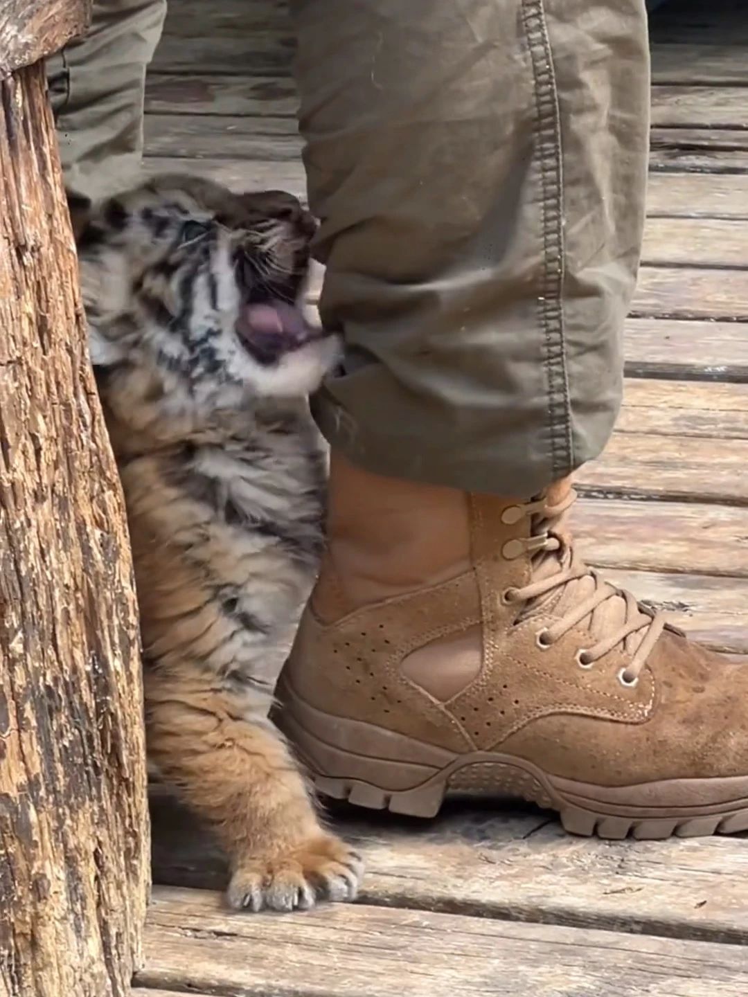 啡网纹 野牛色 咖啡褐色 中帮 皮革  - VALI鞋履AI设计主图