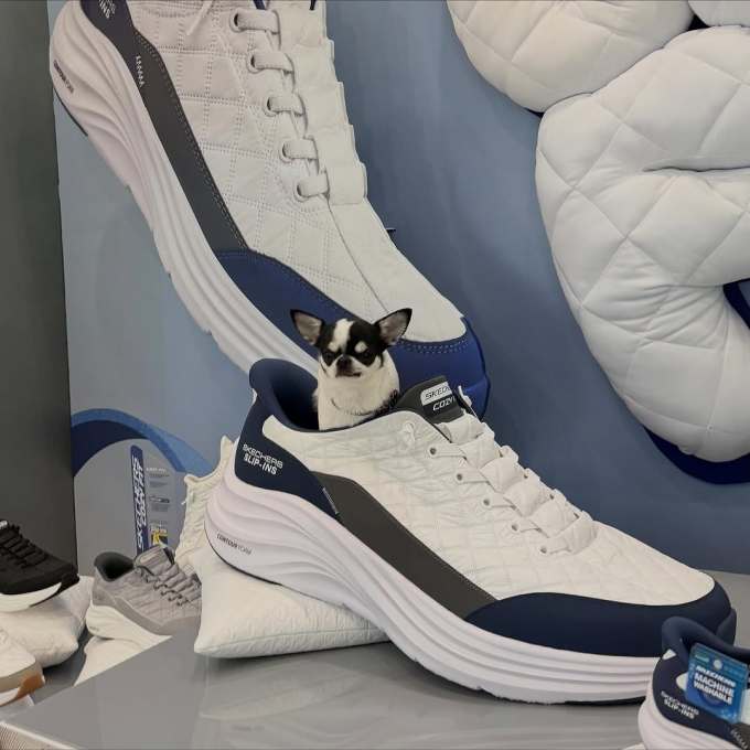 雨色 积云 蓝黑色 低帮 BOA 皮革 