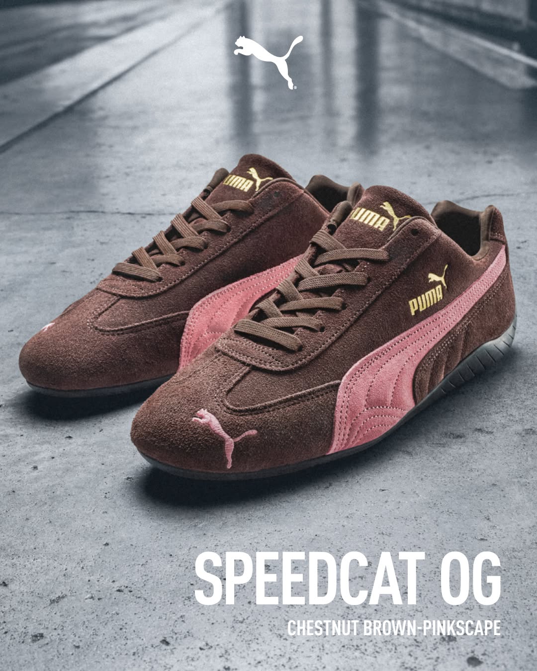 咖啡色 法国烤肉色 陨石色 低帮 系带 皮革  - VALI鞋履AI设计主图