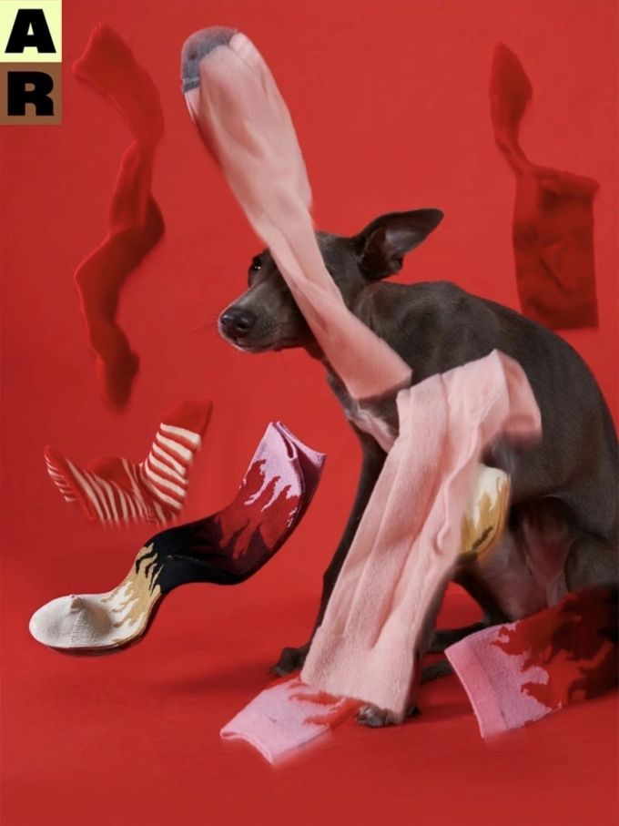 灵气橙 黑豆色 番茄干色 无帮 布面 