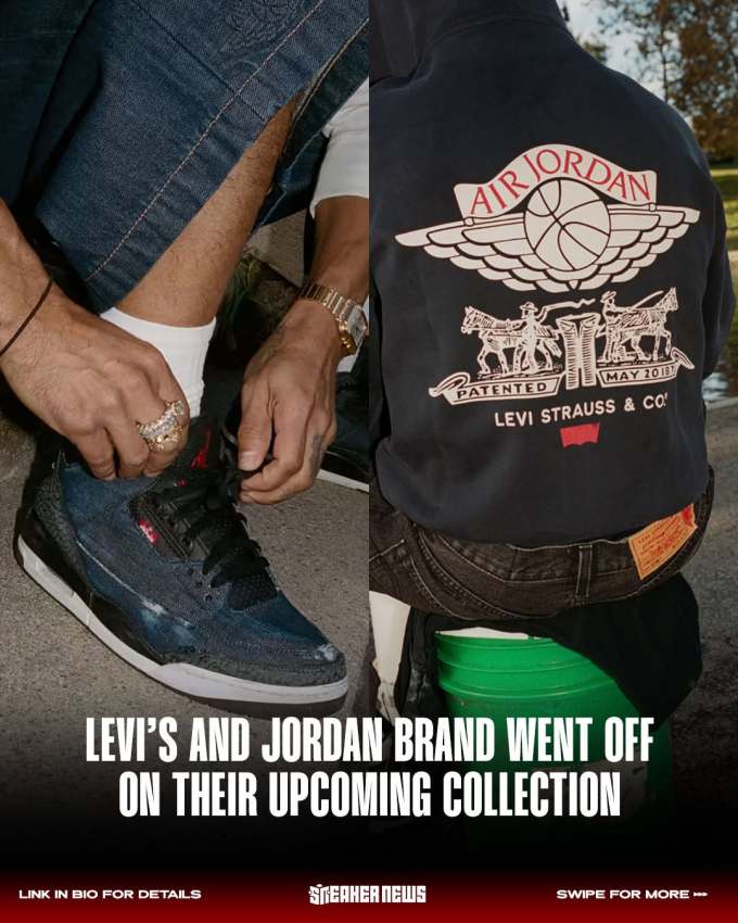 阿芬宾舍犬 深板岩色 灰鲸 低帮 系带 布面 