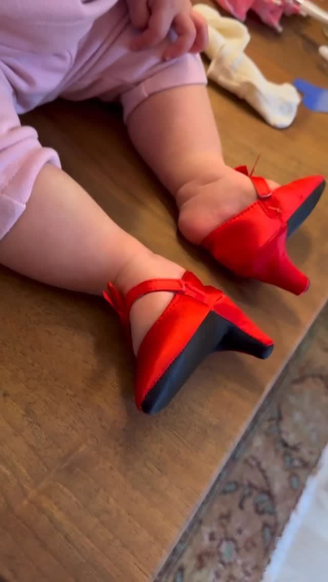 火红 深井黑 大丽花红 无帮 