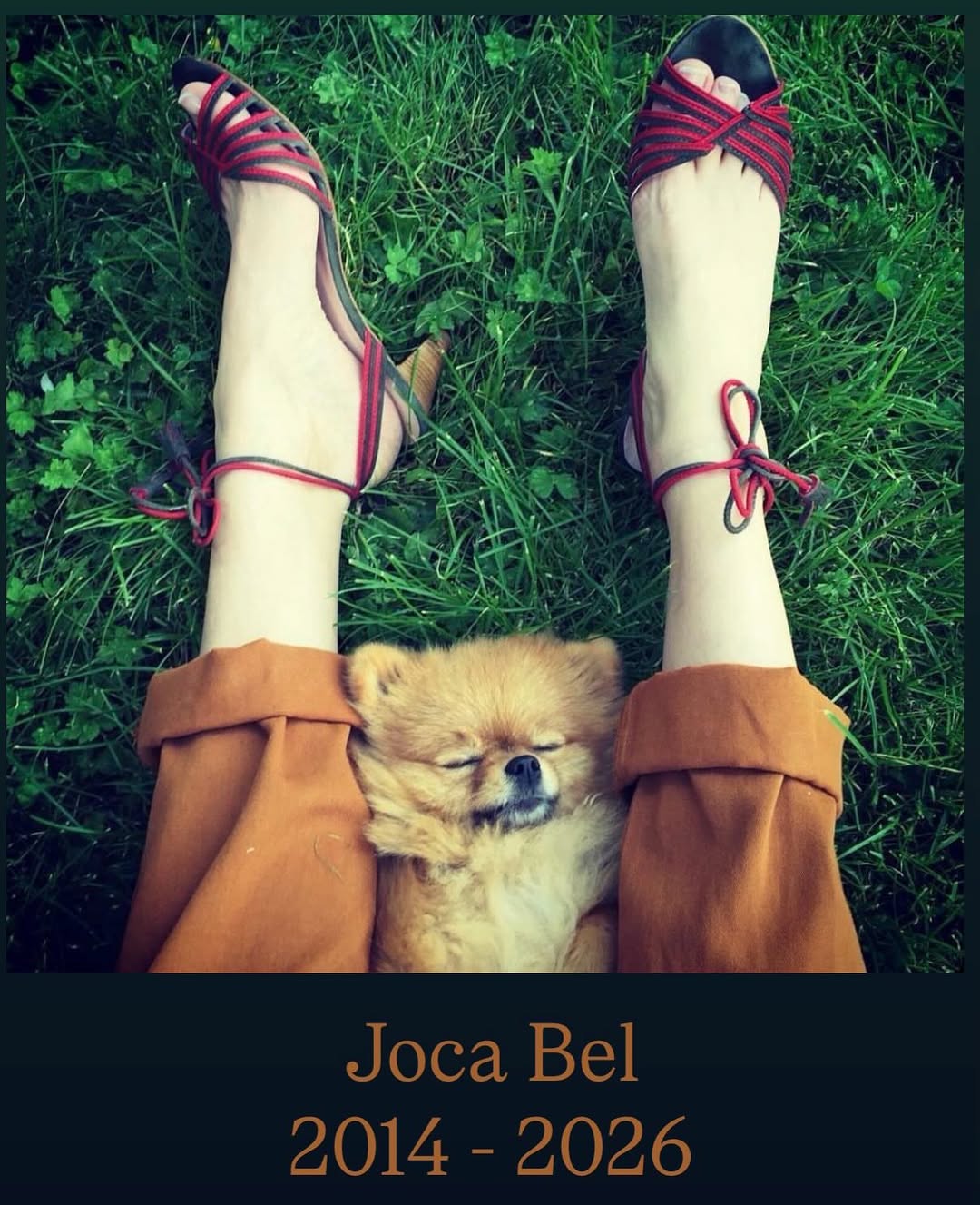 树林绿 淡浅绿 蔷薇辉石 无帮  - VALI鞋履AI设计主图