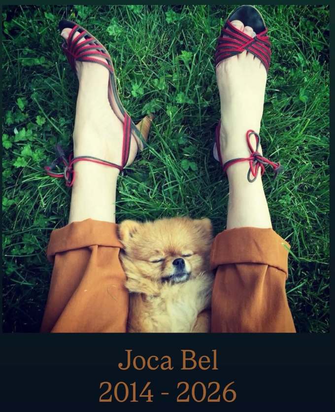 树林绿 淡浅绿 蔷薇辉石 无帮 