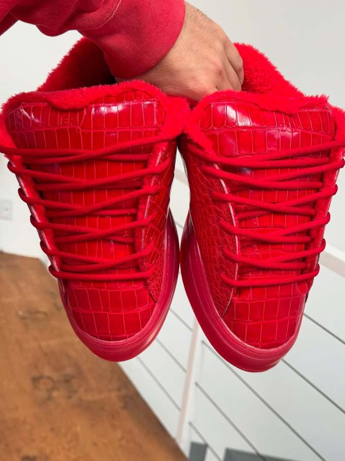 巴贝多樱桃色 枸杞 肾上腺素 无帮 