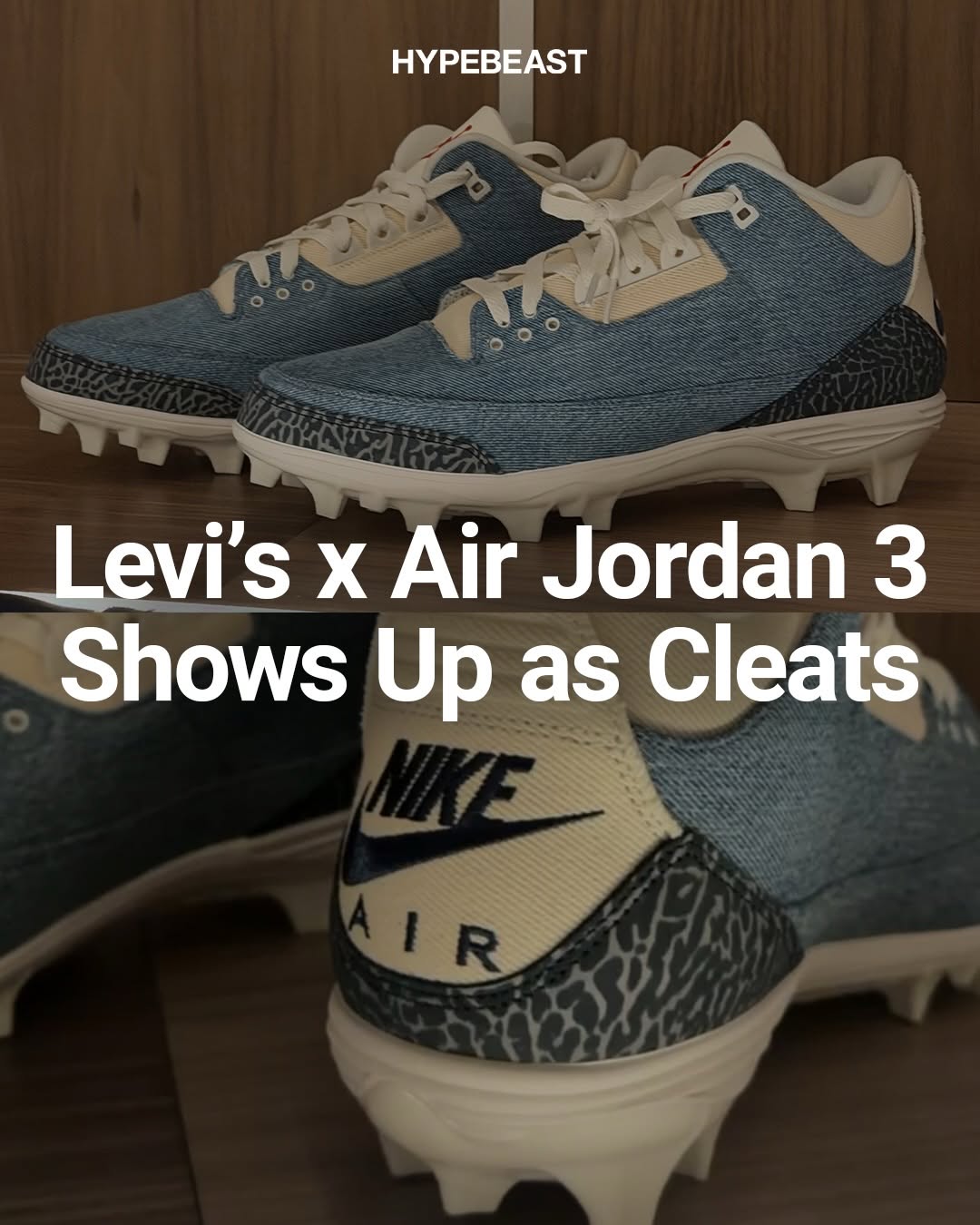 阿芬宾舍犬 软玉 胡荽色 低帮 系带 网面  - VALI鞋履AI设计主图