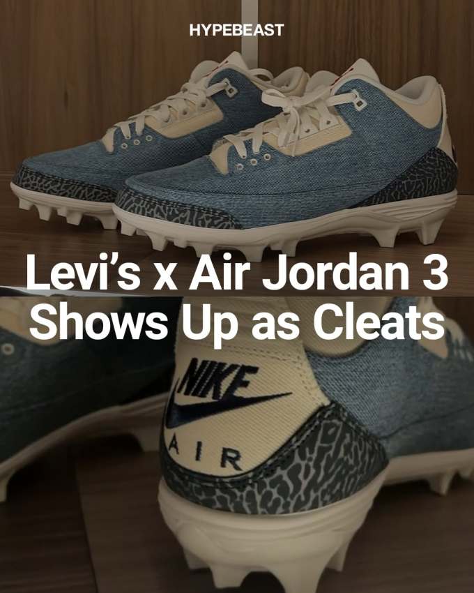 阿芬宾舍犬 软玉 胡荽色 低帮 系带 网面 