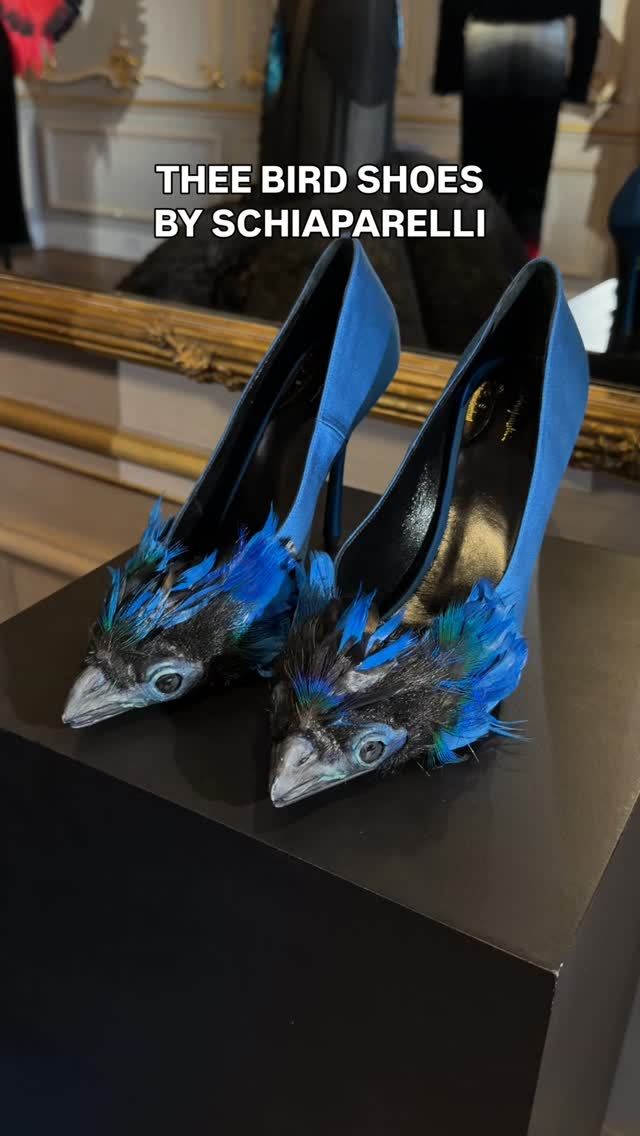 燕尾服 艳蓝色 超音速 尖头 低帮 一脚蹬 浅口鞋 