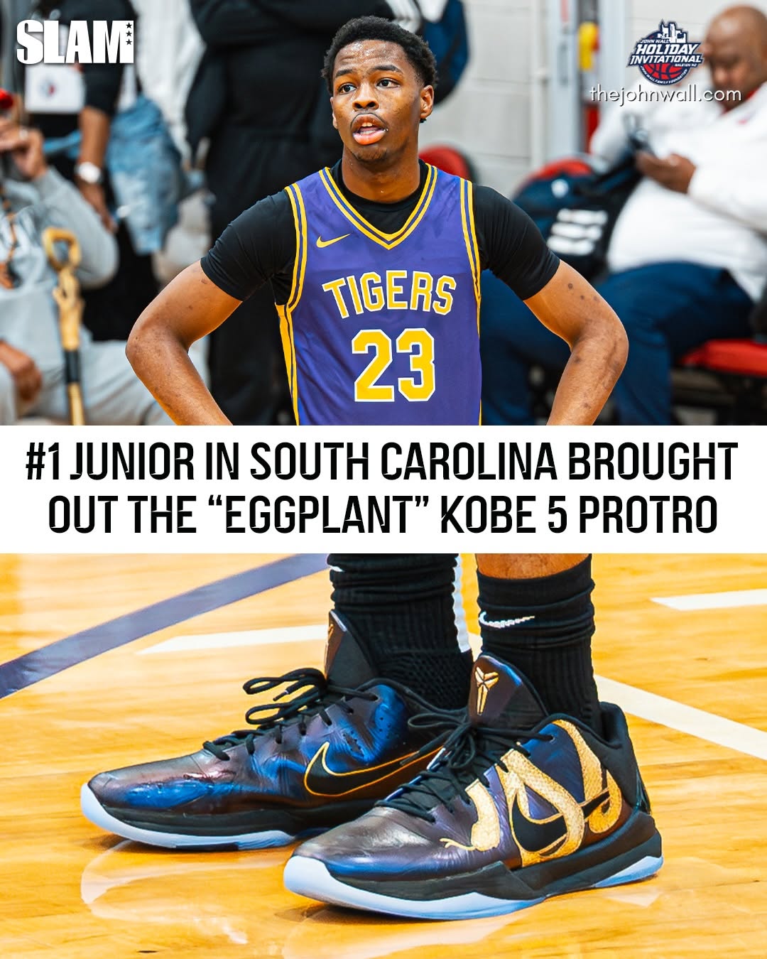 无底洞 咖啡褐色 鹦鹉螺 中帮 系带 皮革  - VALI鞋履AI设计主图