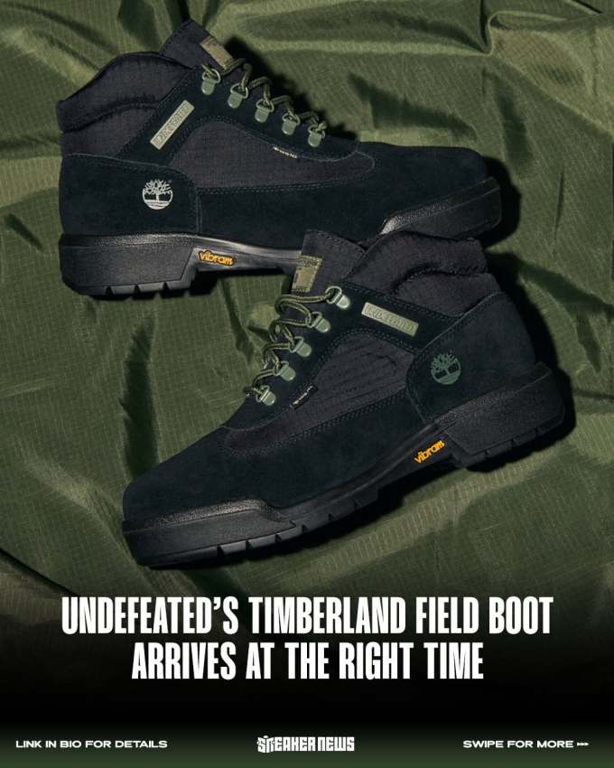 阿芬宾舍犬 青铜色 火山灰 中帮 系带 