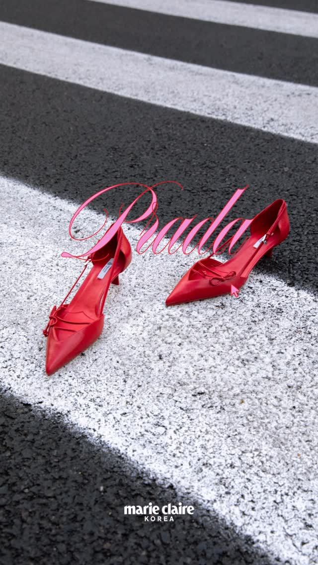 马术红 芙蓉红 丝带红 无帮 