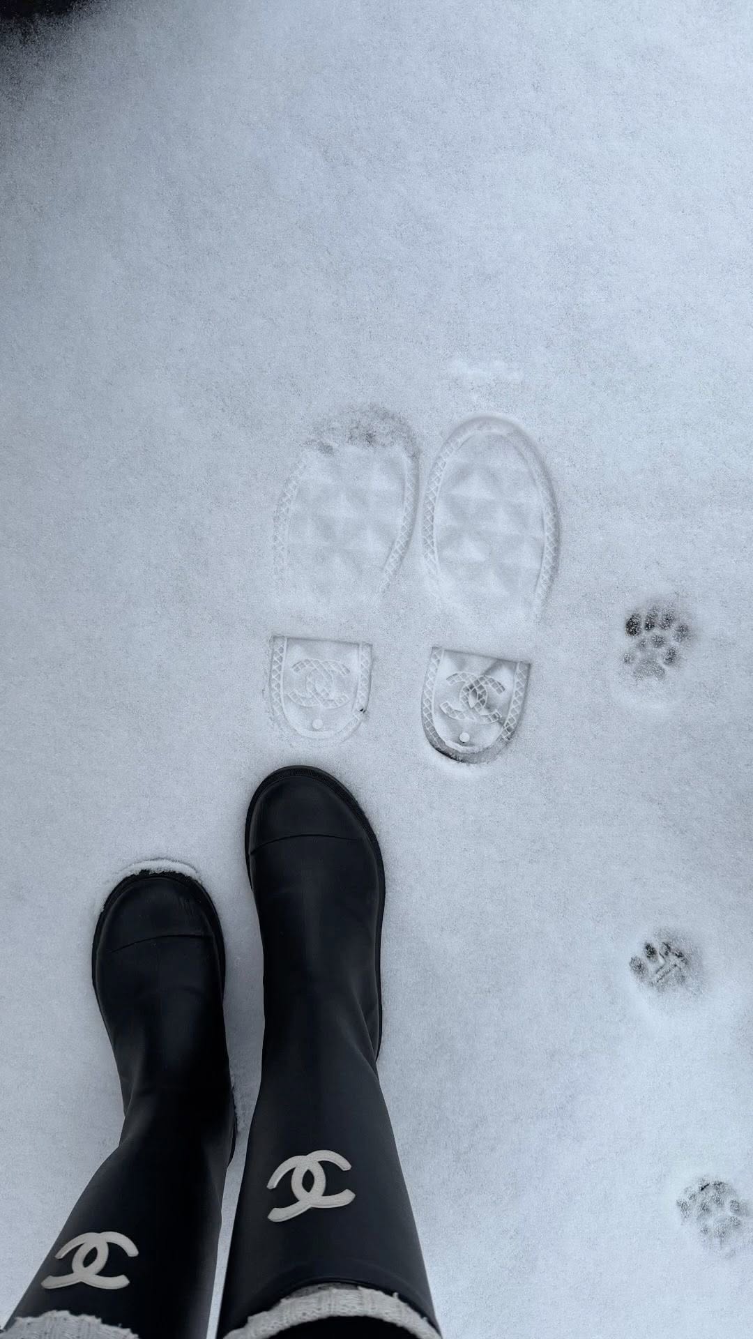 剪影 终极灰 石板 塑料  - VALI鞋履AI设计主图