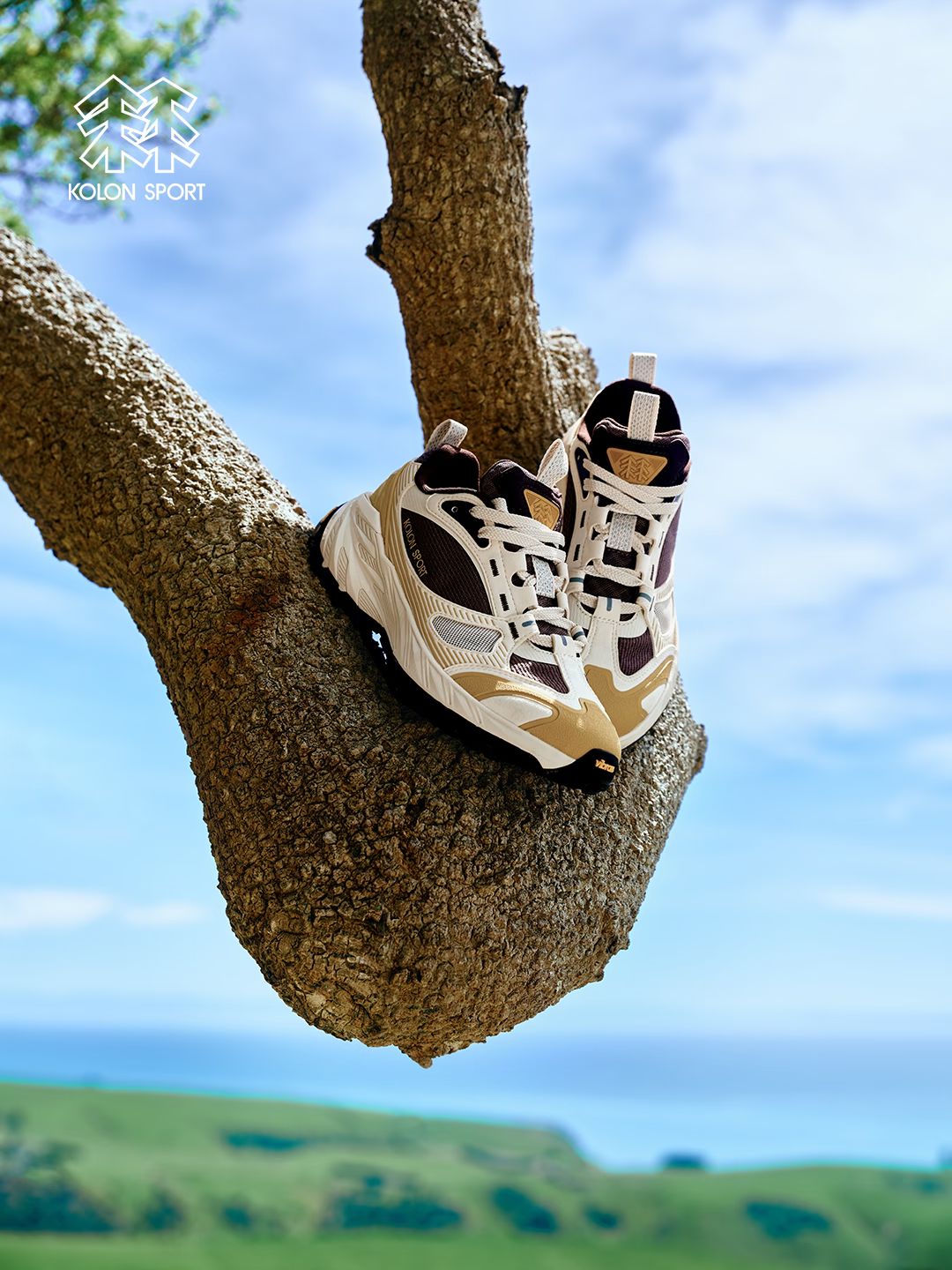 黑豆色 夏日沙 水泥灰 圆头 低帮 系带  - VALI鞋履AI设计主图