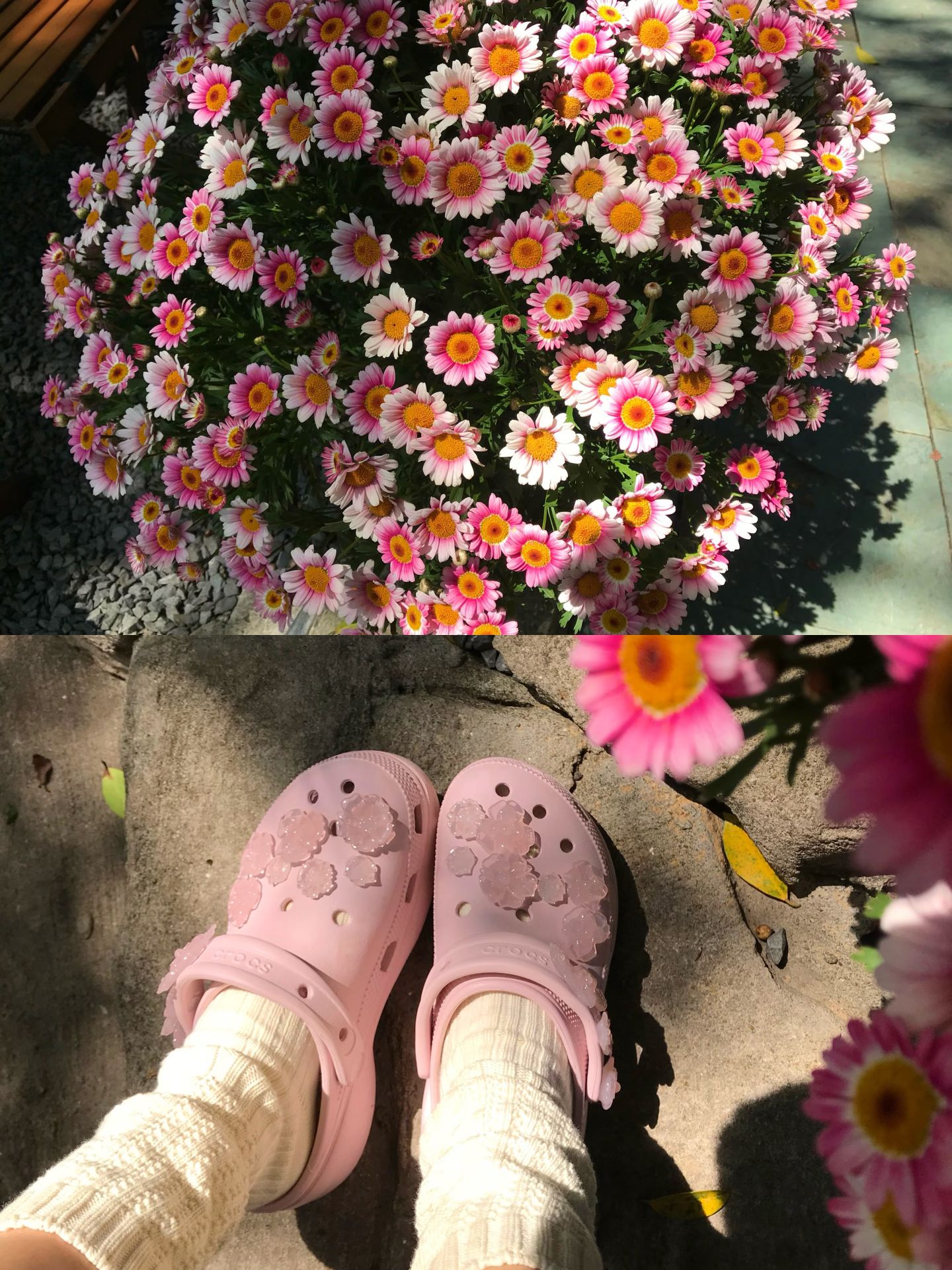 薄纱粉 沙红色 糖蜜釉 无帮 塑料  - VALI鞋履AI设计主图