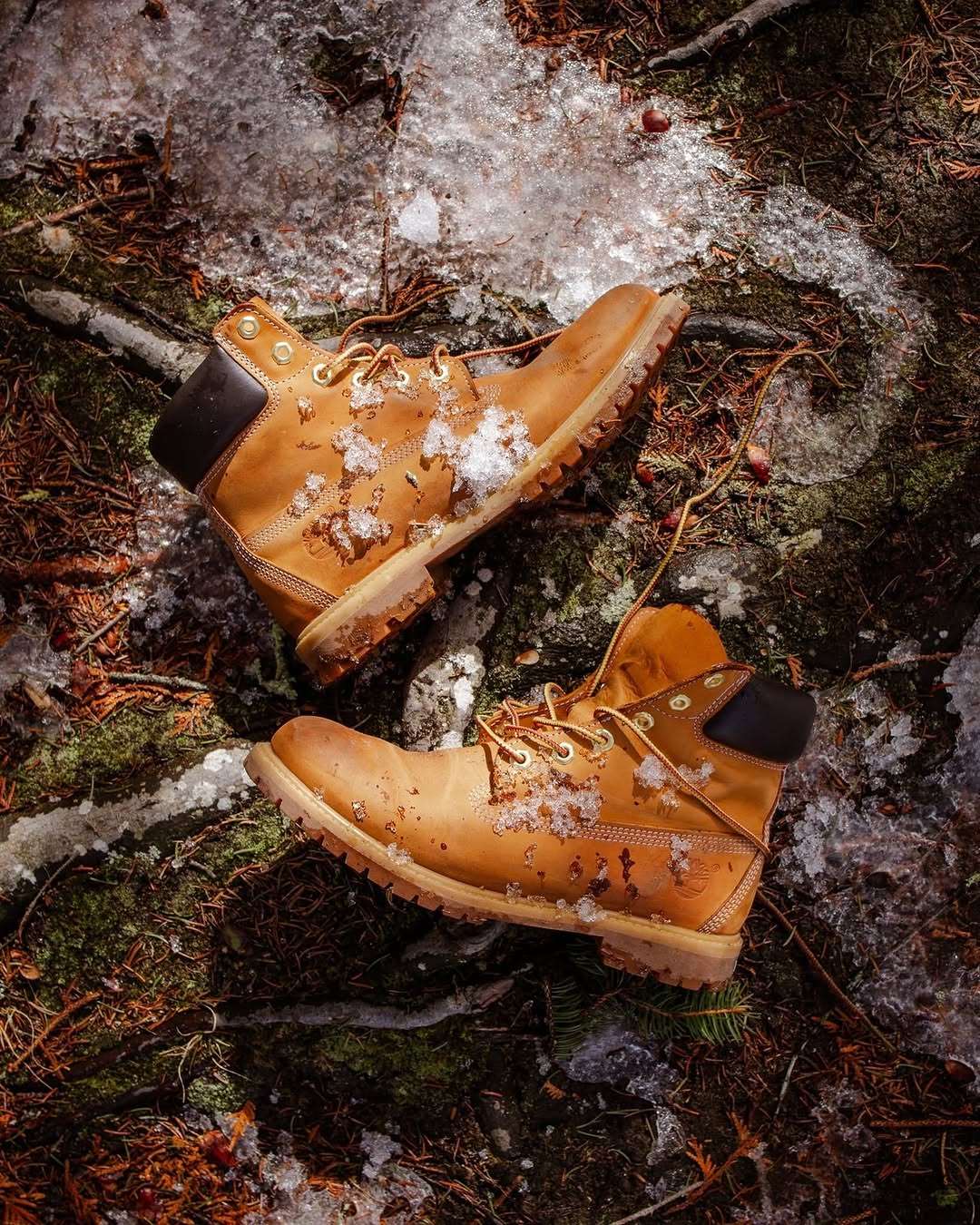 夏威夷日落色 浓茶色 橡金色 圆头 系带 皮革  - VALI鞋履AI设计主图