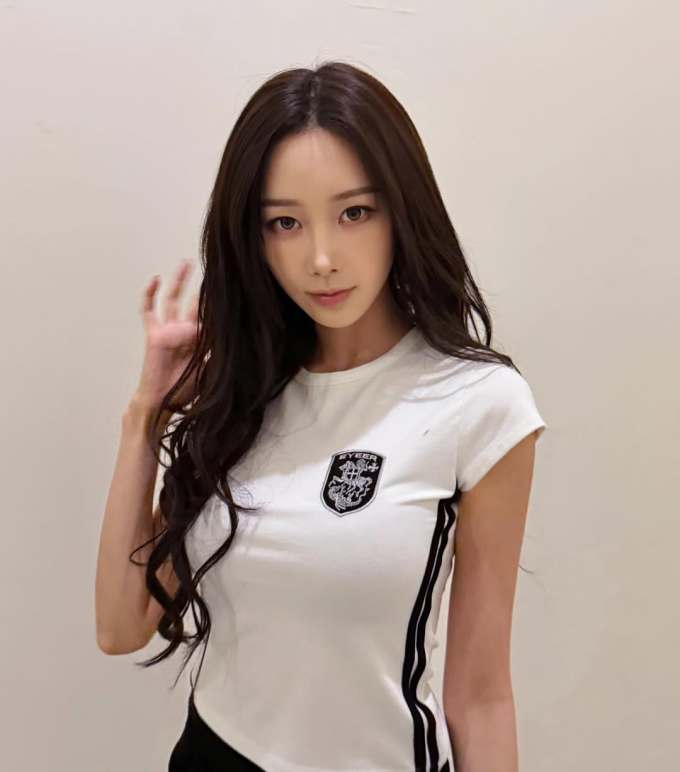 针织面料 圆形领 短袖 局部印染 徽章标记 贴布绣 城堡灰 云雾色 银灰色 徽章 