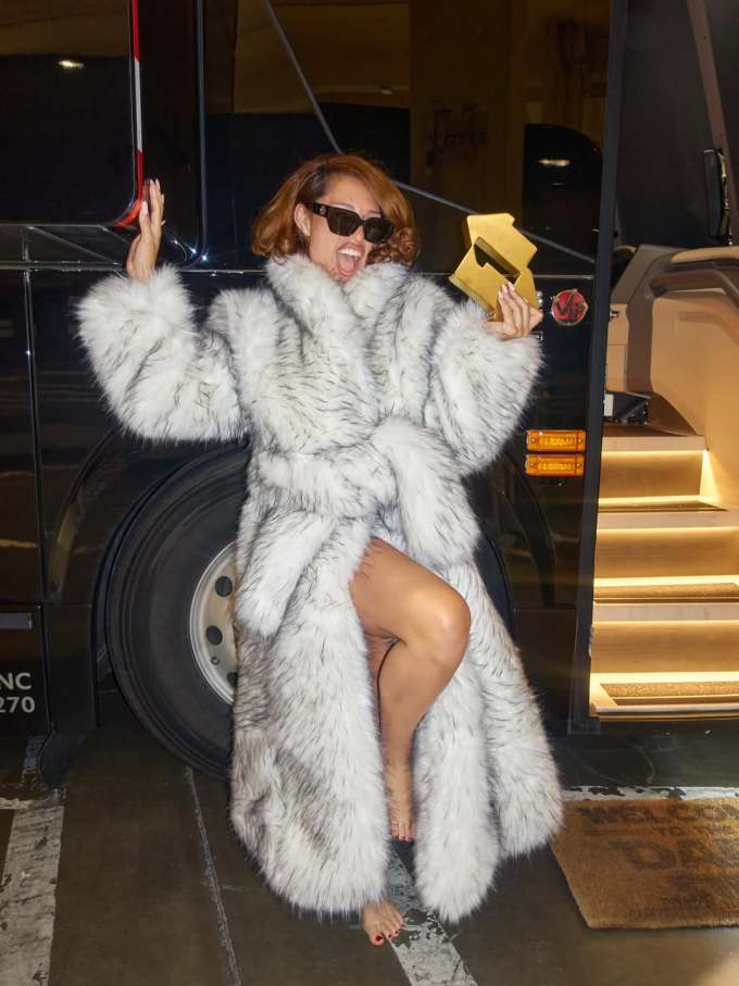 皮草面料 翻领 中长袖 裘毛袖 白云母 描绘灰 白玛瑙 名媛风 