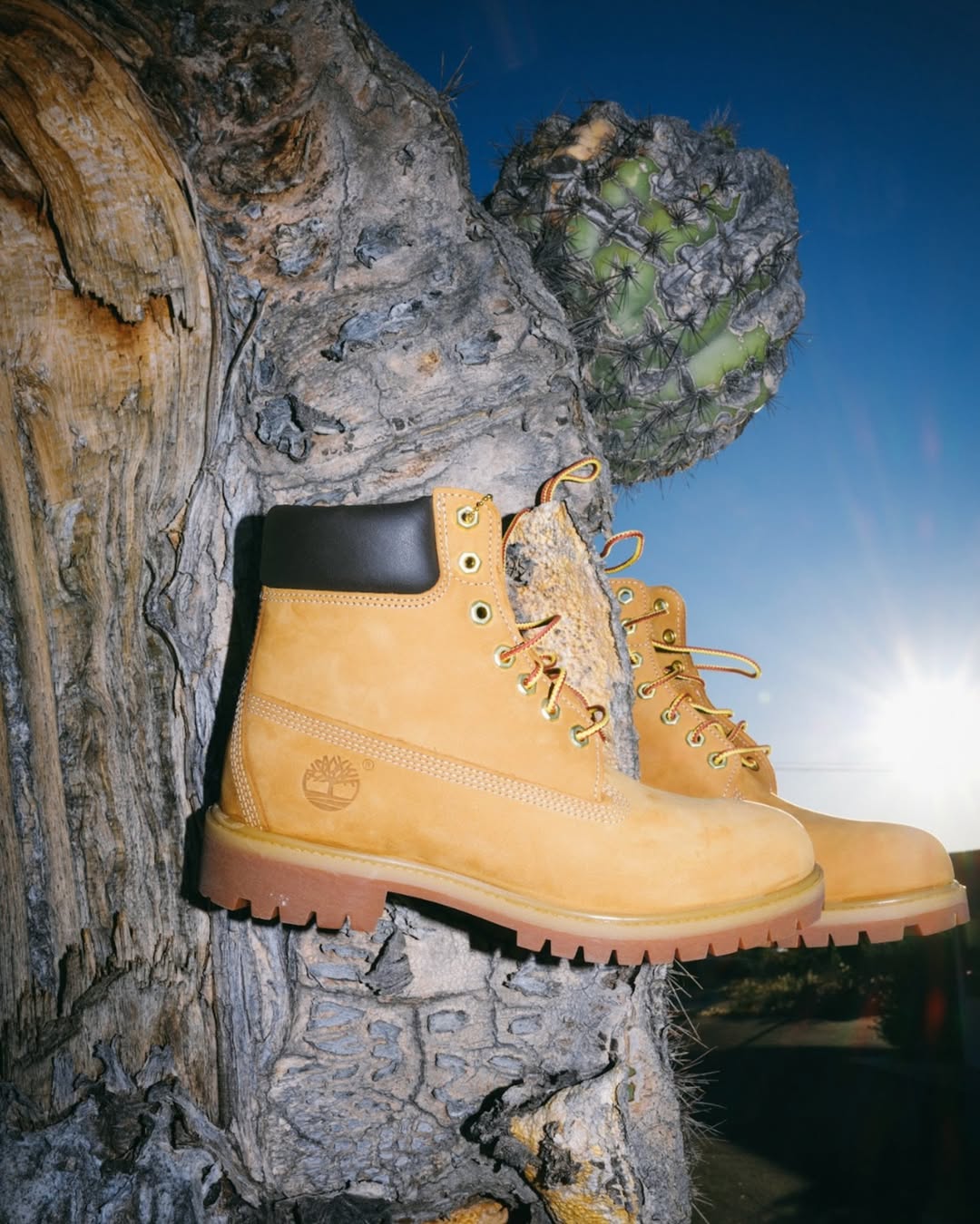 艳阳色 黑斑羚色 亚麻黄 圆头 系带 皮革  - VALI鞋履AI设计主图