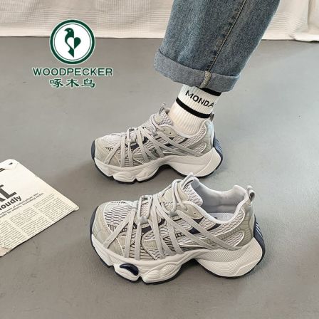 啄木鸟情侣款老爹鞋女2025秋新款网面透气厚底增高小众休闲运动鞋