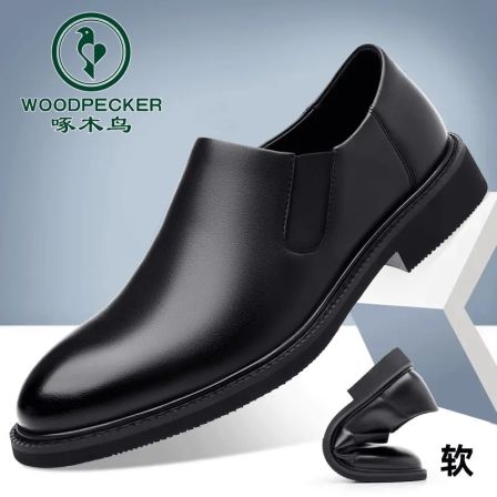 啄木鸟专柜新款时尚商务休闲皮鞋男士潮流软底轻便一脚蹬舒适男鞋
