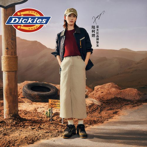 Dickies【陆柯燃】明星小卡主图