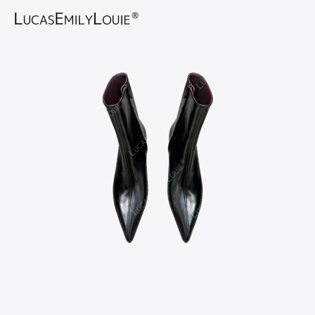 LUCASEMILYLOUIE欢姐0220简约高级感侧拉链尖头短筒靴250149