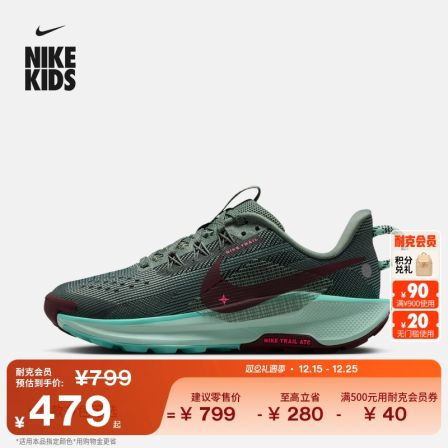 耐克小飞马大童户外透气跑步鞋冬季男女童轻便网面NIKE FV5638