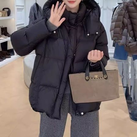 【NO退NO换】2025冬季新款连帽立领时尚羽绒服862518FF 12.12