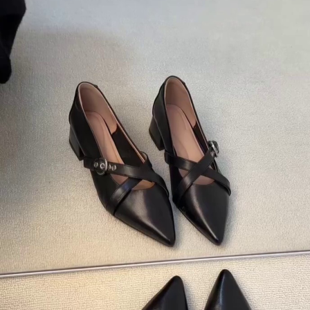 羊皮版~交叉带玛丽珍鞋时尚通勤春季新款粗跟尖头法式简约小单鞋