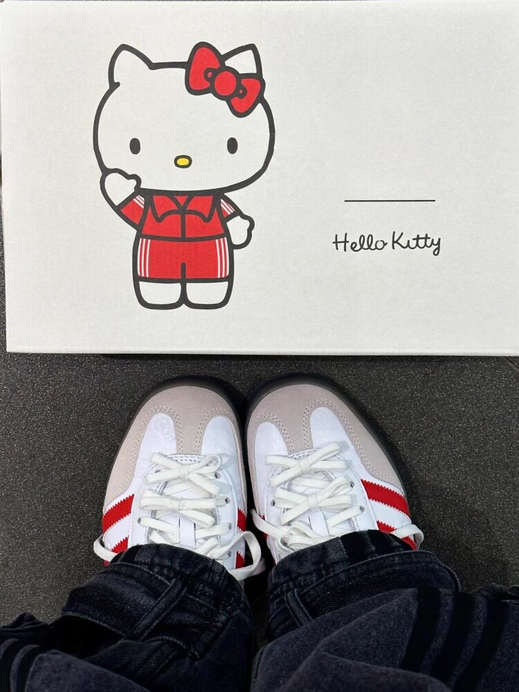 hellokitty猫德训鞋情侣款春季2026新款潮流防滑厚底运动休闲板鞋主图