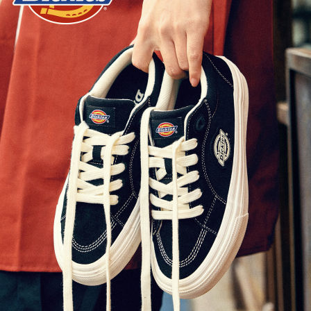 Dickies帆布鞋男款2026新款板鞋男鞋透气休闲鞋男生平底百搭鞋子